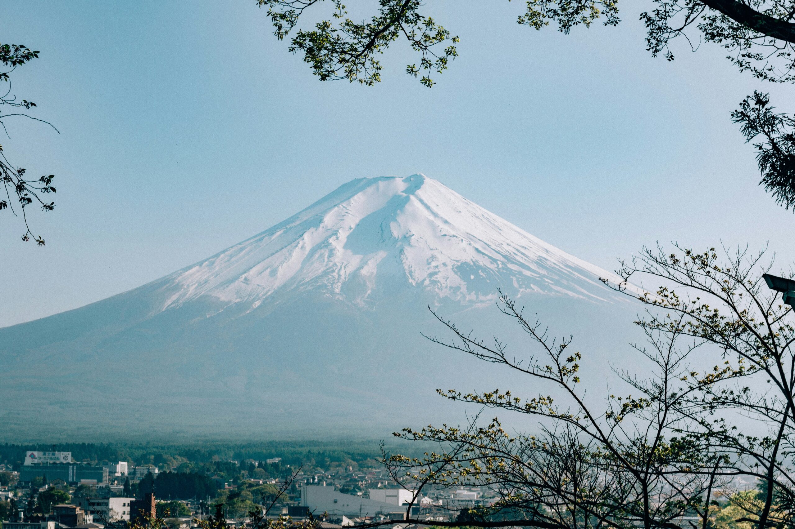 【受付終了】山梨第１グループ合同奉仕活動「富士山環境美化クリーン作戦」
